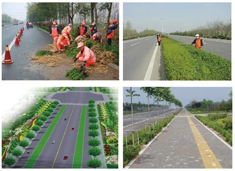 徐州高铁站区12条道路绿化养护工程